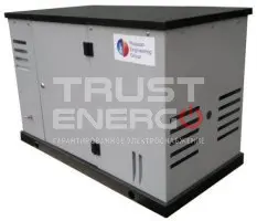 Газовый генератор REG GG10-230S В кожухе REG 680 trustenergo.ru