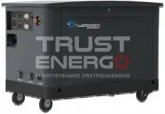Газовый генератор Mirkon Energy MKG29TF В кожухе Mirkon Energy  trustenergo.ru Газовый генератор Mirkon Energy MKG29TF В кожухе Mirkon Energy  trustenergo.ru