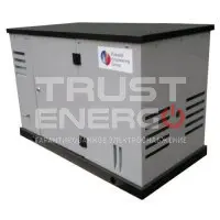 Газовый генератор REG ARCTIC GG10-230S В кожухе REG 680 trustenergo.ru Газовый генератор REG ARCTIC GG10-230S В кожухе REG 680 trustenergo.ru