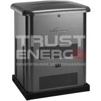 Газовый генератор Briggs & Stratton G60 В кожухе Briggs&Stratton Vanguard I/C 500 cc trustenergo.ru Газовый генератор Briggs & Stratton G60 В кожухе Briggs&Stratton Vanguard I/C 500 cc trustenergo.ru