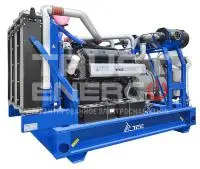 Дизельный генератор ТСС АД-300С-Т400-1РМ2